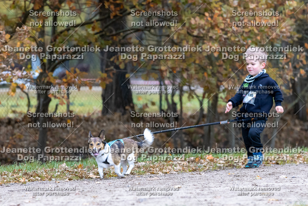 Dog Paparazzi - SD CaniX Championship 2025-676 | Dog Paparazzi Jeanette Grottendiek Fotografie & Videografie - Realisiert mit Pictrs.com