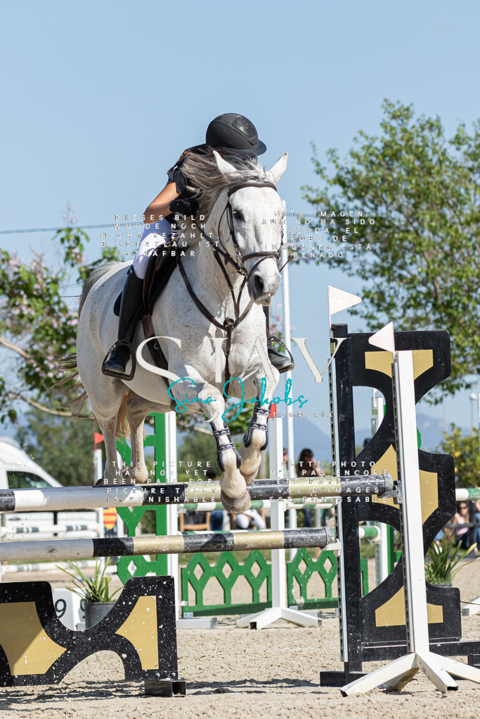 IMG_0927 | s-jay-photography - Realized with Pictrs.com