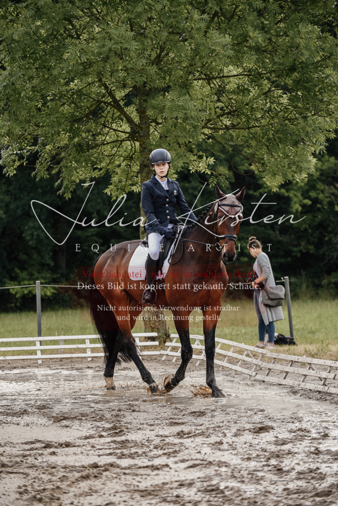 DSC_8587 | Pferde- und Turnierfotografie in Westsachsen. Pferdeportraits, Auftragszeichnungen und intuitive Kunst.