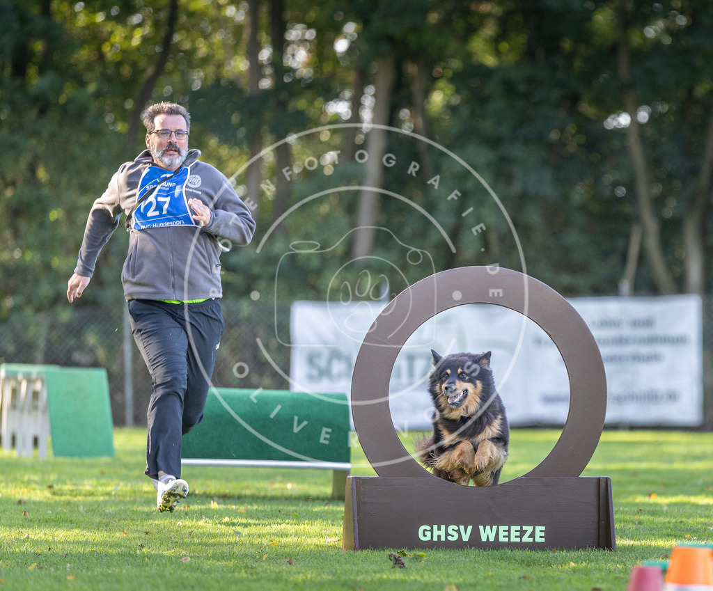Pfotenfotografie.de_DV3A3525 | Hundefotografie, Tierfotograf, Pfotenfotografie, Fotoshooting Hund, Hunde Portrait, Hundesport, Hundeportraits, Heideshooting, Hunde, Sportfotograf, Hundefotograf, Turnierhundsport, THS, canicross - Realisiert mit Pictrs.com