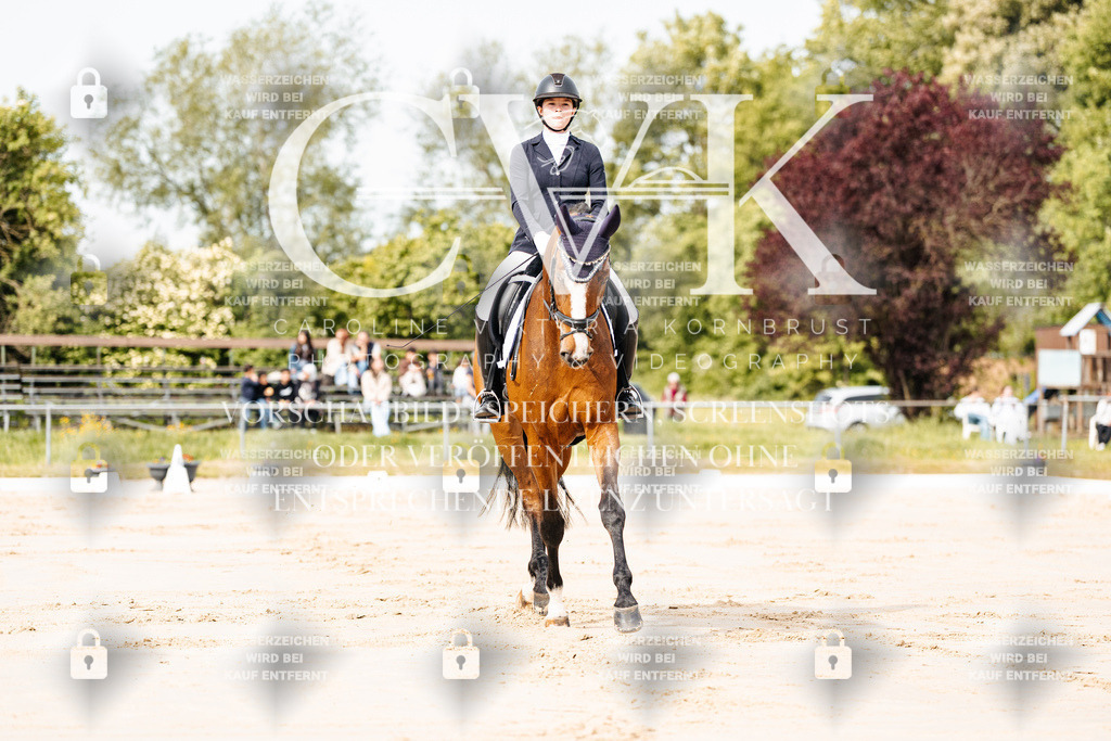 CK900659 | Turnierfotografie Pferdefotografie Trier Rheinland-Pfalz Pferdesport Reitsport Tierfotografie Sportfotografie Pferdevideo Pferdevideografie Equestrianvideography equestrianphotography  - Realisiert mit Pictrs.com
