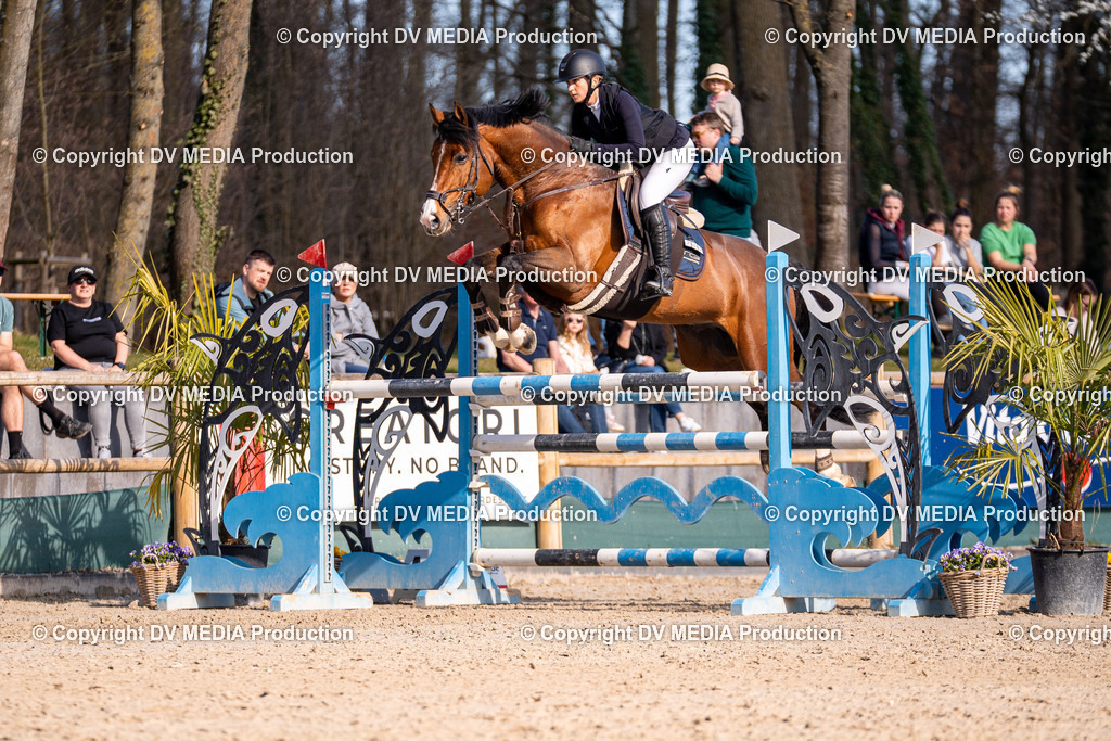 Kranichstein Tag 2-0978 | dv-media-shop - Realisiert mit Pictrs.com