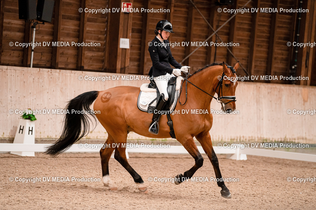 Dressur Tag 2-167 | dv-media-shop - Realisiert mit Pictrs.com