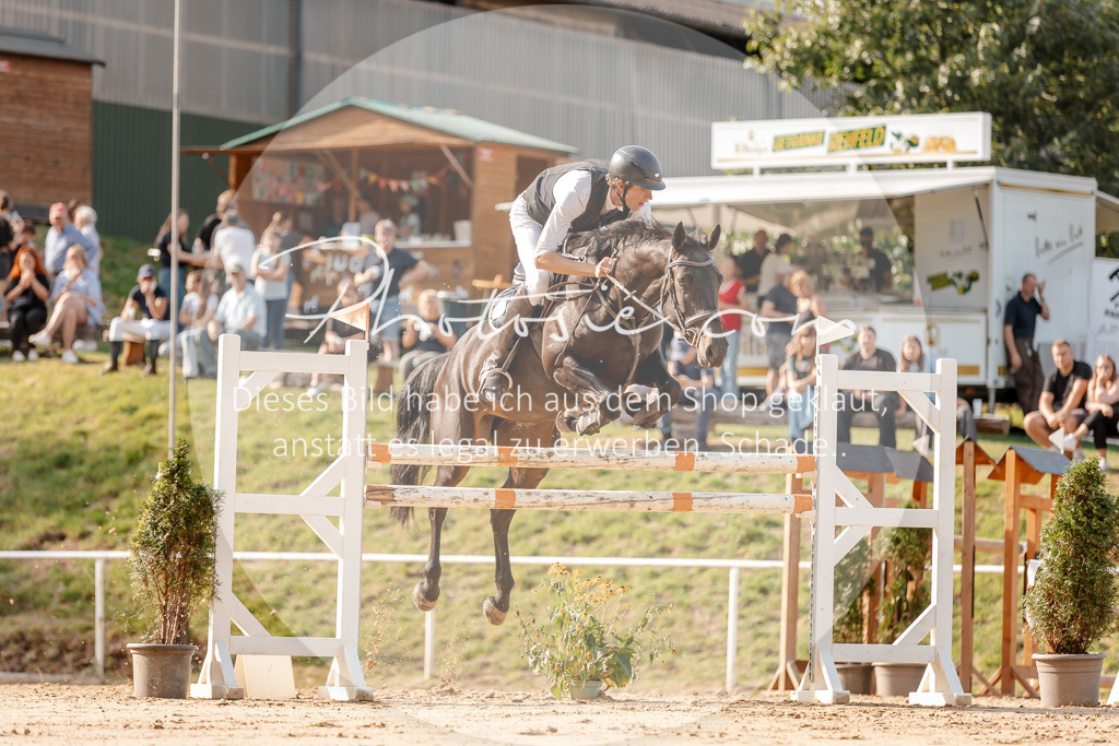 3I6A4879 | Stimmungsvolle Portraits und Reitsportfotografie im Ruhrgebiet und im Münsterland.

Pferdefotografie, Hundefotografie, Tierfotografie, Reportagen, Portraits von Tier und Mensch, Turnierfotografie in Bochum, Recklinghausen, Marl, Haltern am See, Dülmen.. - Realisiert mit Pictrs.com