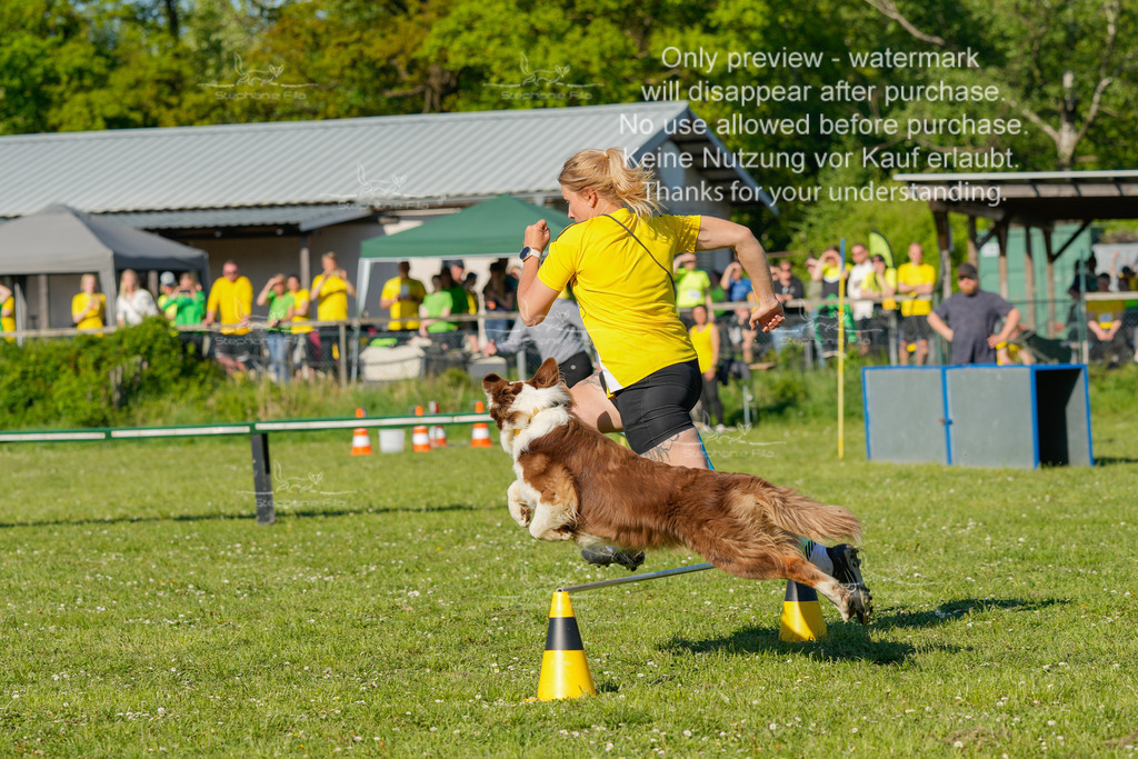 Sa_CSC-549 | stephaniefillaphotographie - Realisiert mit Pictrs.com