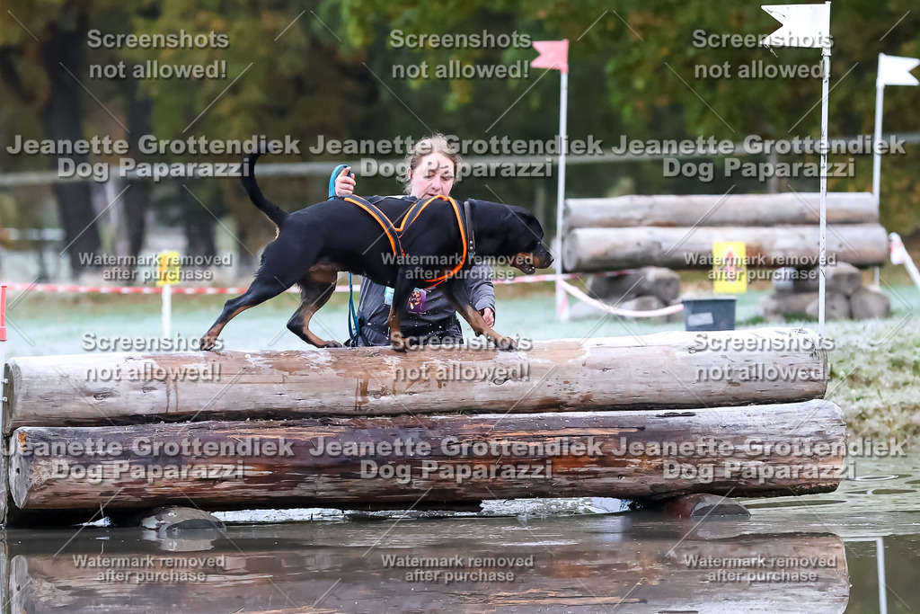 Dog Paparazzi - Strongdog 10-25-6067 | Dog Paparazzi Jeanette Grottendiek Fotografie & Videografie - Realisiert mit Pictrs.com