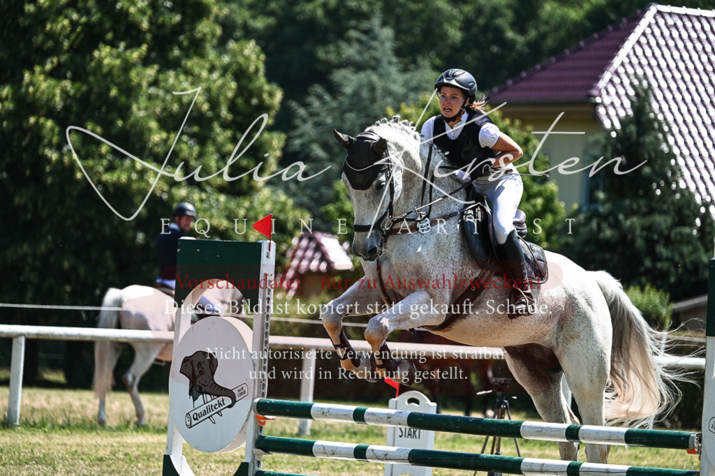 DSC_0297 | Pferde- und Turnierfotografie in Westsachsen. Pferdeportraits, Auftragszeichnungen und intuitive Kunst.