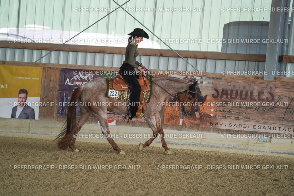 DSC09189 | Pferdegrafie