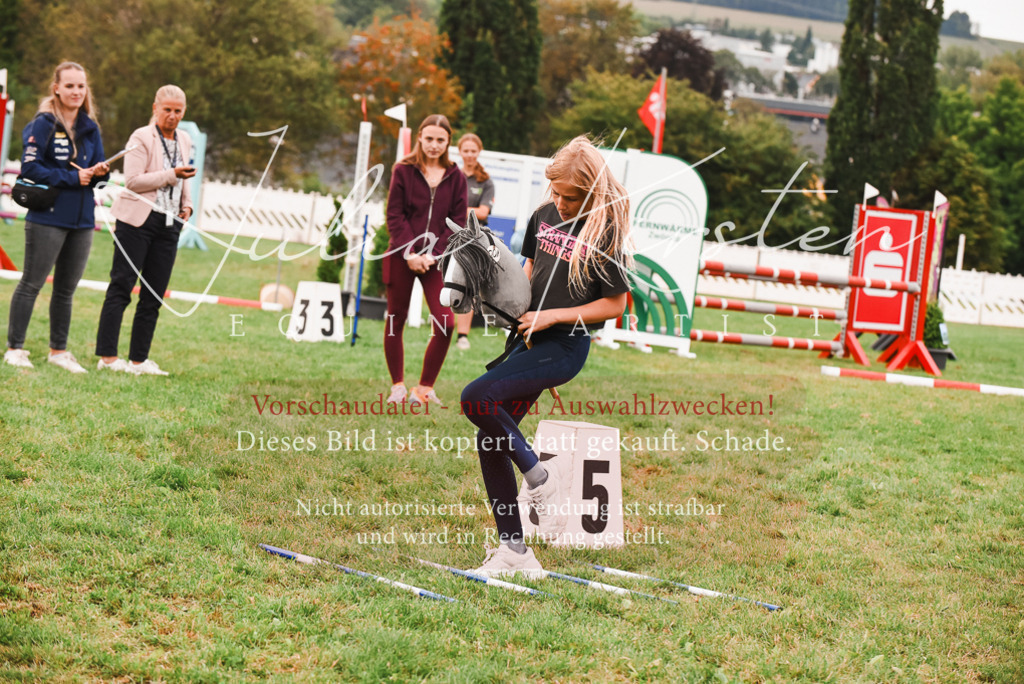 DSC_4559 | Pferde- und Turnierfotografie in Westsachsen. Pferdeportraits, Auftragszeichnungen und intuitive Kunst.