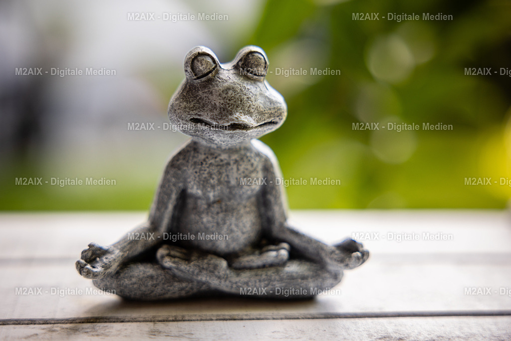 Yoga Frosch | Professionelle Fotos von M2AIX aus Aachen – Events, Portraits und besondere Momente. Jetzt Ihre Bilder entdecken, auswählen und bequem online bestellen. - Realisiert mit Pictrs.com