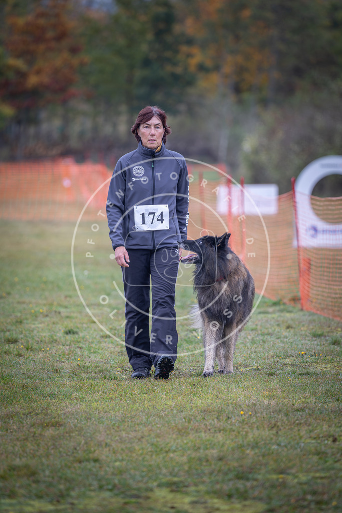 Pfotenfotografie_DV3A9242 | Hundefotografie, Tierfotograf, Pfotenfotografie, Fotoshooting Hund, Hunde Portrait, Hundesport, Hundeportraits, Heideshooting, Hunde, Sportfotograf, Hundefotograf, Turnierhundsport, THS,  - Realisiert mit Pictrs.com