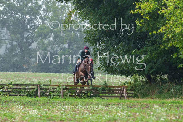 Jagd Perdoel 26 Sony-03438_MarinaHewig | Fotografie, FotoArt, PferdesportArt, Pferdesportfotografie, Landschaftsfotografie, Reisefotografie, Reise, Pferde - Realisiert mit Pictrs.com