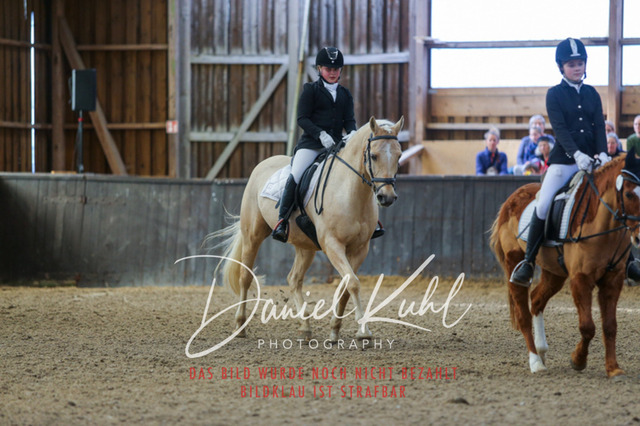 IMG_0885 | Turniersportfotografie; Pferdefotografie; Dressurfotografie