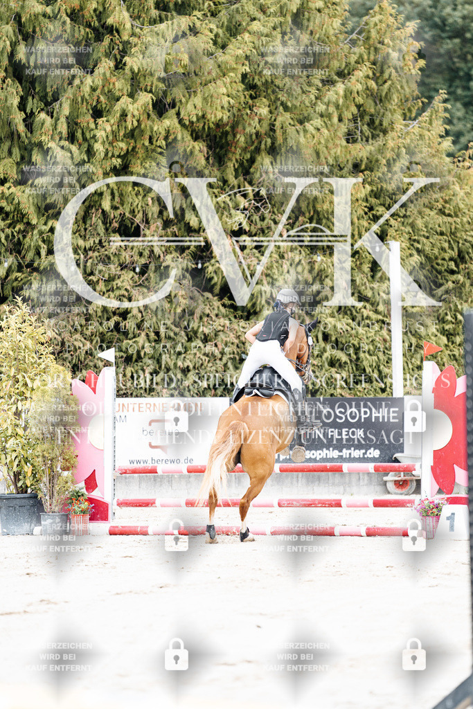 CK907814 | Turnierfotografie Pferdefotografie Trier Rheinland-Pfalz Pferdesport Reitsport Tierfotografie Sportfotografie Pferdevideo Pferdevideografie Equestrianvideography equestrianphotography  - Realisiert mit Pictrs.com