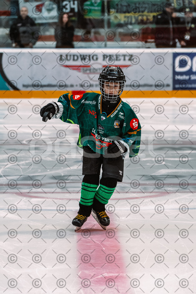 Alligators_vs_Peiting_04_10_2026-08 | Die Fotogalerie von Daddel: professionelle Bilder von Sport, Events und Unternehmen aus Franken. Jetzt Galerien durchstöbern und Lieblingsfotos bestellen. - Realisiert mit Pictrs.com