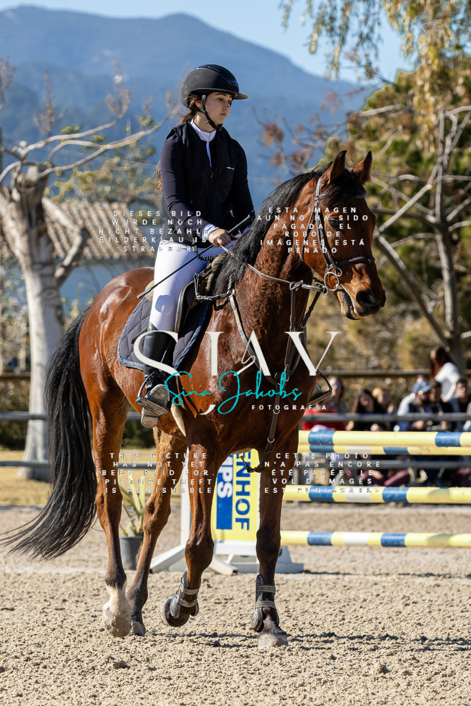 IMG_1291 | s-jay-photography - Realisiert mit Pictrs.com