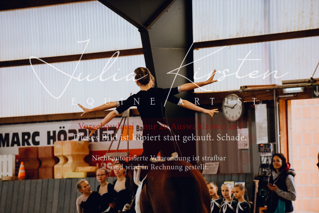 DSC_6916 | Pferde- und Turnierfotografie in Westsachsen. Pferdeportraits, Auftragszeichnungen und intuitive Kunst.