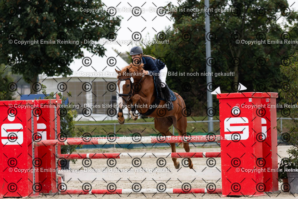 CL5A5002 | Emilia Reinking Fotografie - Realisiert mit Pictrs.com