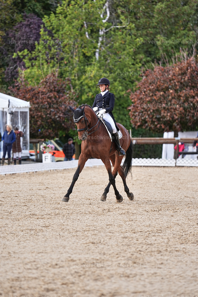 13-072-S___ -Marixx-7067 | working equitationturnier fotograf videograf stoibphotography marixx film working equitation deutschland reitsport turnierfotografie eventfotografie equestrian events