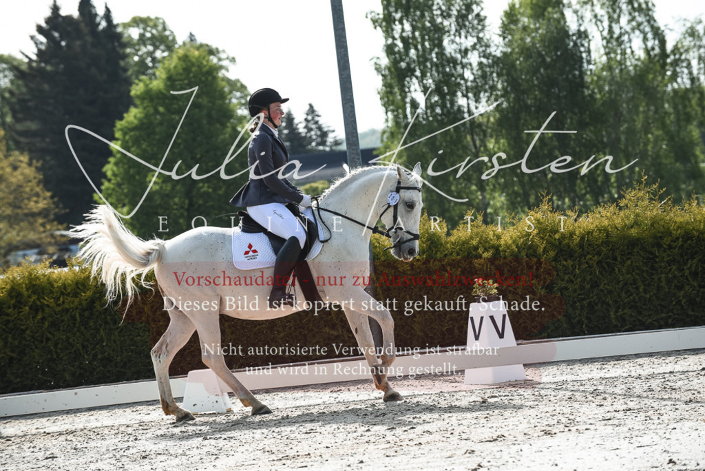 20230518_JK-Röhrsdorf-09-1072 | Pferde- und Turnierfotografie in Westsachsen. Pferdeportraits, Auftragszeichnungen und intuitive Kunst.