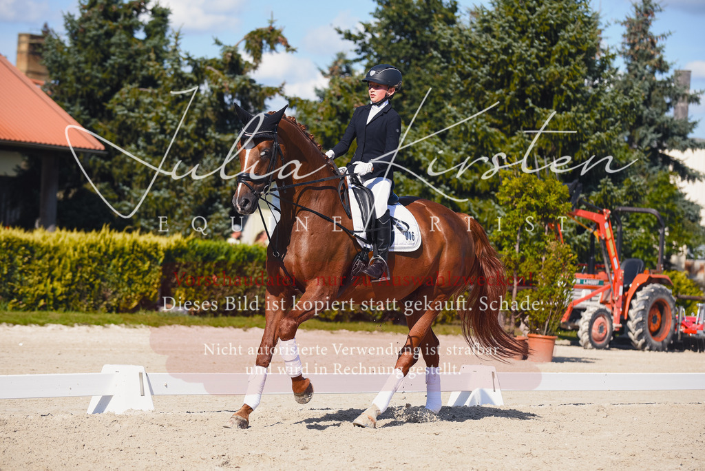 DSC_0094 | Pferde- und Turnierfotografie in Westsachsen. Pferdeportraits, Auftragszeichnungen und intuitive Kunst.