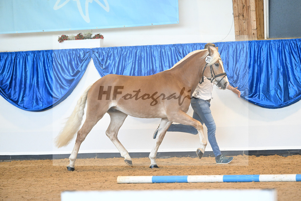 Kat-Nr. 20 nn v. Bugatti_Hock_60220771 | hf-fotografie - Realisiert mit Pictrs.com