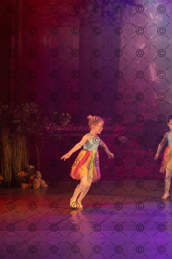 Ballettaufführung-659 | Bildershop Lem'n Entertainment - Realisiert mit Pictrs.com
