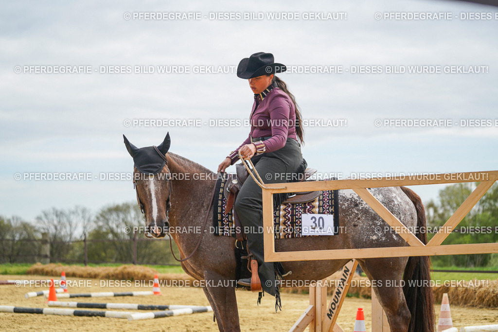 DSC03464 | Pferdegrafie