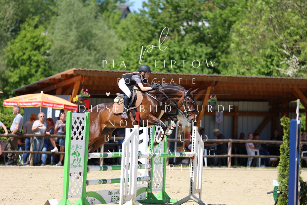 IMGS8081 | pl-fotografie