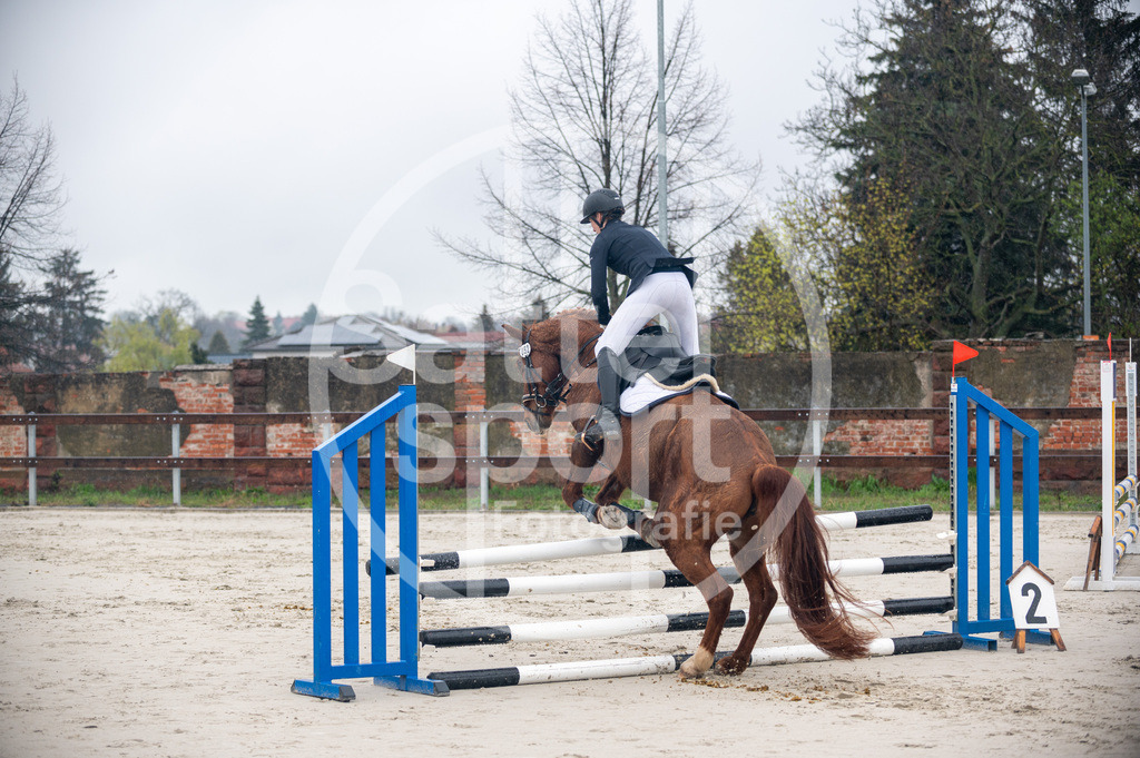 DSC_8487 | sattelsport - Realisiert mit Pictrs.com