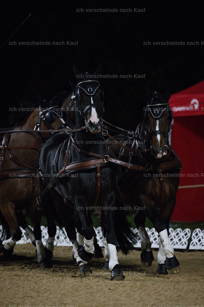 FHClassics-284 | working equitationturnier fotograf videograf stoibphotography marixx film working equitation deutschland reitsport turnierfotografie eventfotografie equestrian events