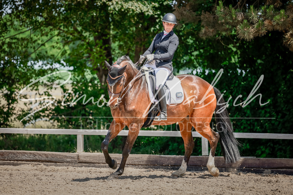 20250621-_3LI7457 | Tierfotografie Pferde, Hunde, Katzen, Haustiere.
Turnierfotografie Reitturniere, Reiten, Springreiten, Dressur in Hanau, dem Main-Kinzig-Kreis und dem Rhein-Main- Gebiet um Frankfurt