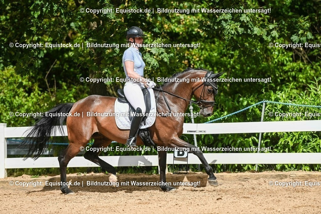 20230715_02_Dressurreiterprüfung Kl.L_0392 | equistock