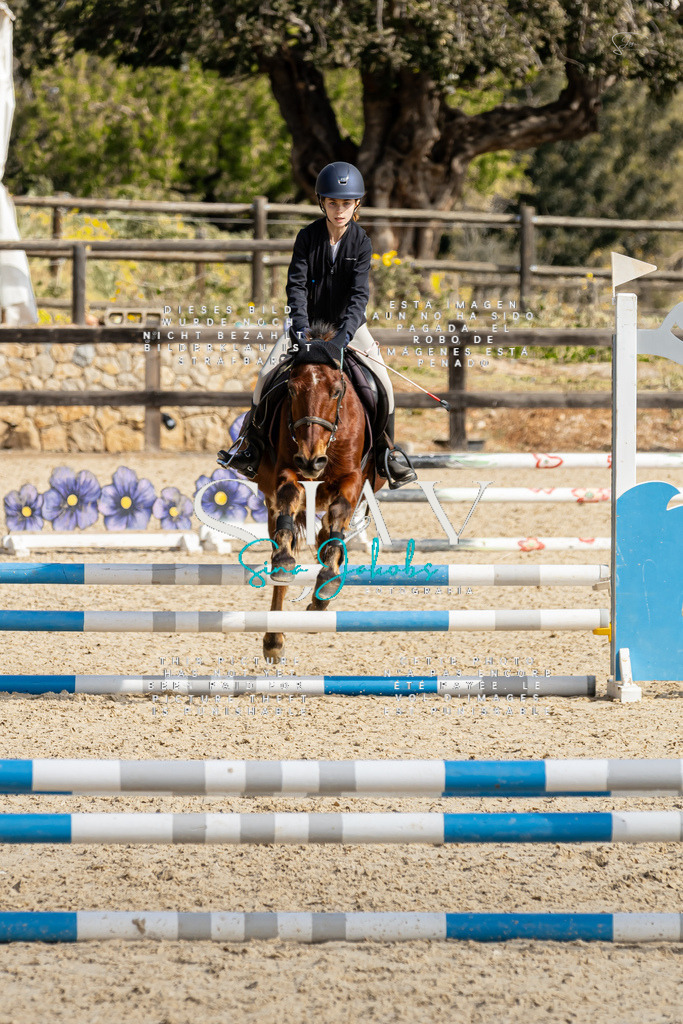 IMG_4413 | s-jay-photography - Realisiert mit Pictrs.com