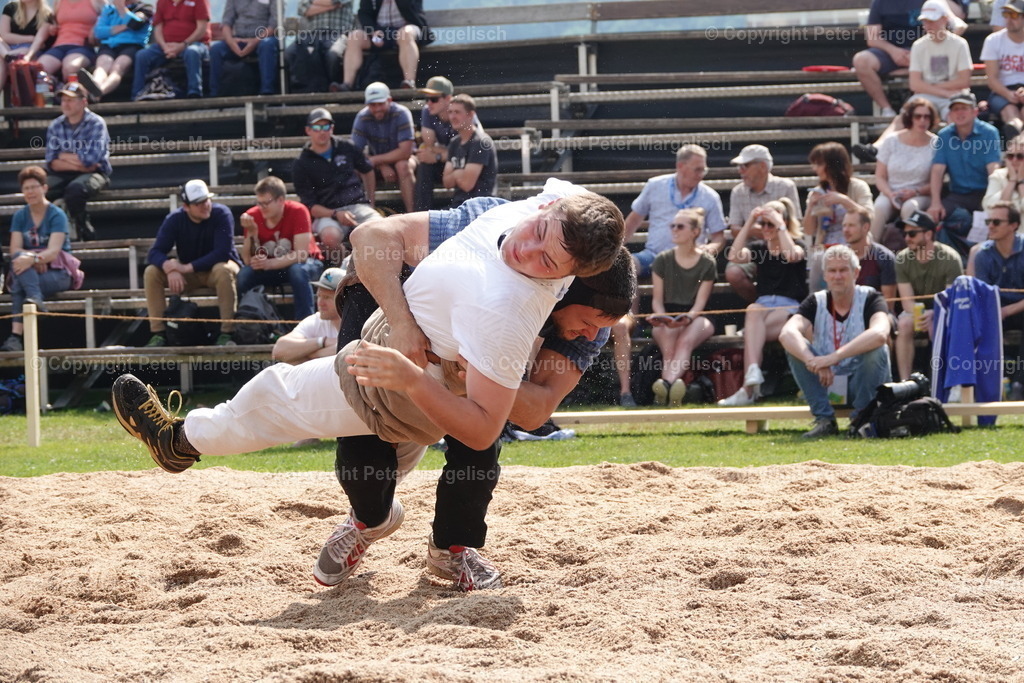 DSC04534 | Schwingen - Realisiert mit Pictrs.com