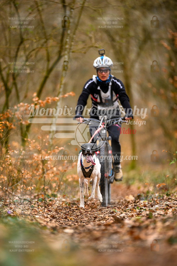 MompixPhotography_ReiatRennen2024_SO_Bike1H-19 | PayLife