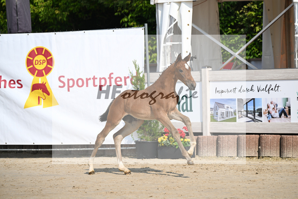 Fuerst Zonik x Vitalis_SF_Haering_12250018 | hf-fotografie - Realisiert mit Pictrs.com