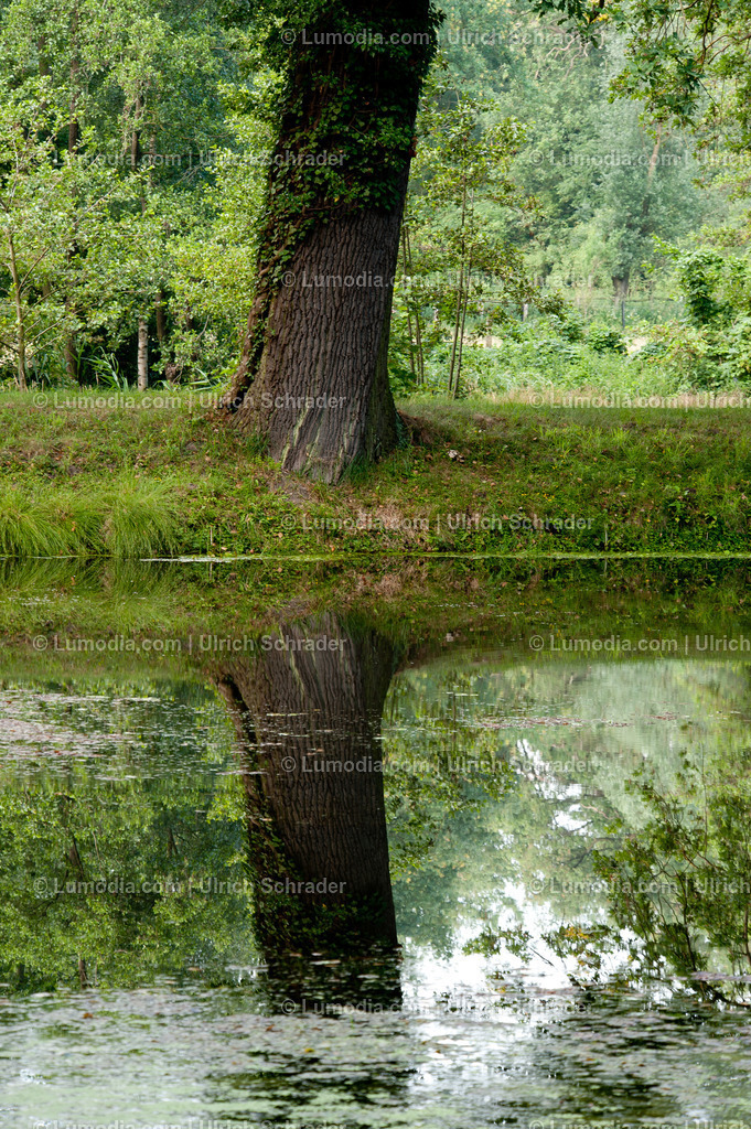 100494-4262 - Schlosspark Krumke | Stockfoto und Bilderpool mit Bildmaterial aus Deutschland, dem Harz, Halberstadt, Quedlinburg, Wernigerode und weltweit. Qualitativ hochwertige und professionelle Fotos anschauen und kaufen. - Realisiert mit Pictrs.com