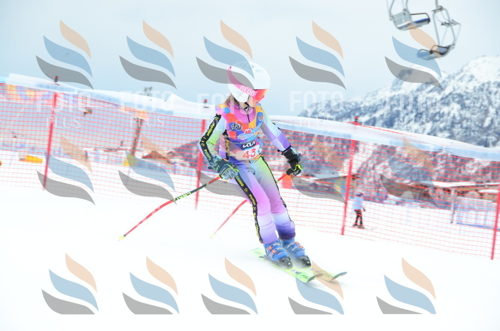 DSC_0920 | holidayphoto