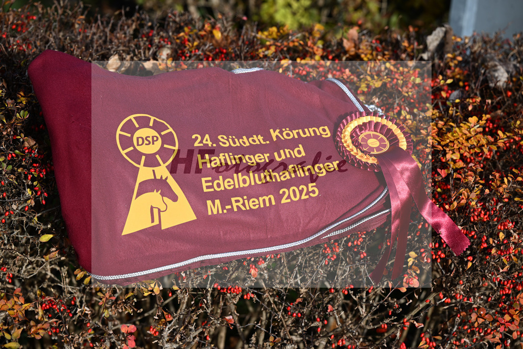 Impressionen Koerung_48250894 | hf-fotografie - Realisiert mit Pictrs.com