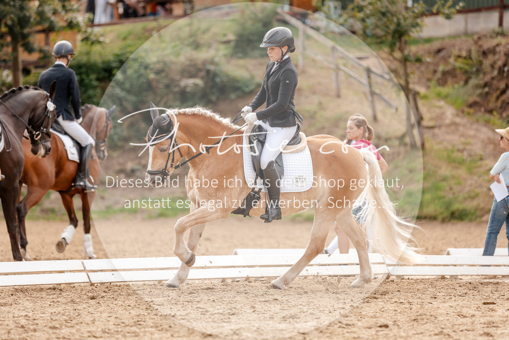 3I6A4077 | Stimmungsvolle Portraits und Reitsportfotografie im Ruhrgebiet und im Münsterland.

Pferdefotografie, Hundefotografie, Tierfotografie, Reportagen, Portraits von Tier und Mensch, Turnierfotografie in Bochum, Recklinghausen, Marl, Haltern am See, Dülmen.. - Realisiert mit Pictrs.com