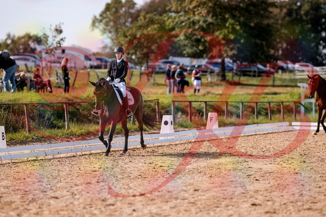 2026_10_03_Siefer-Hof_130718_Z81_58207961 | Professionelle Reitsport-, Turnier- und Eventfotografie von Robert Broda. Galerien mit ausgewählten und bearbeiteten Bildern direkt online ansehen und bestellen.