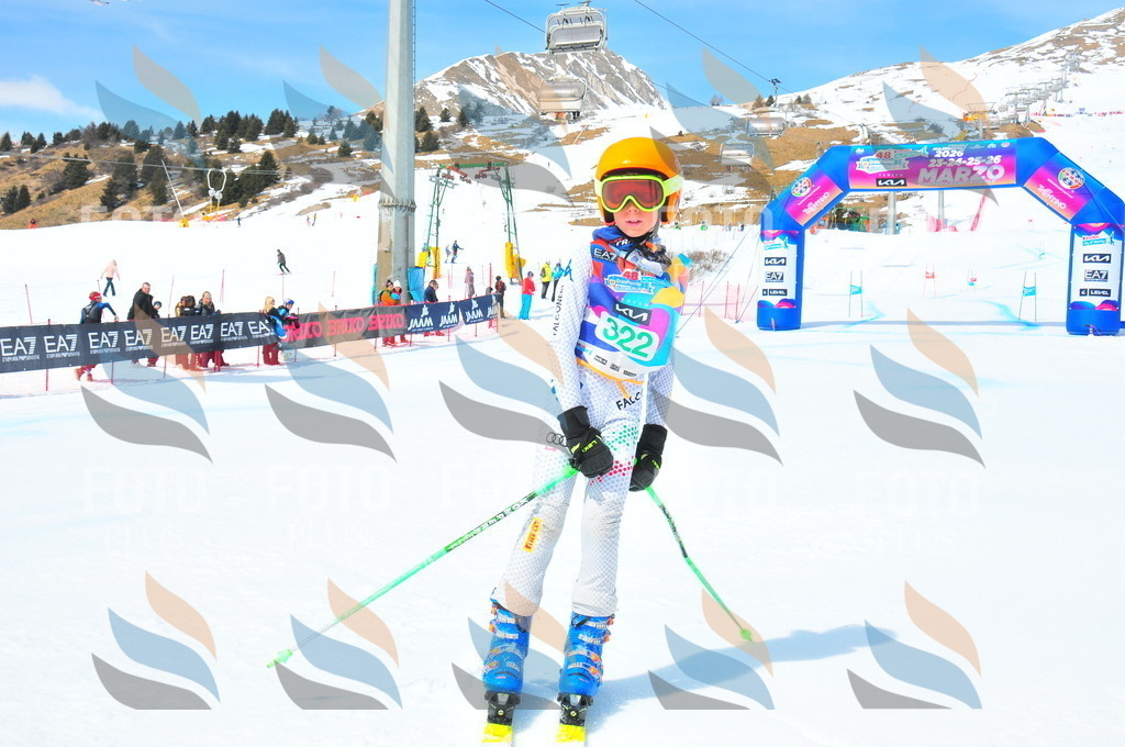 DSC_2972 | holidayphoto