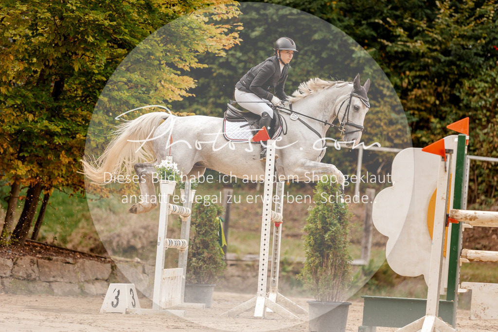 3I6A8175 | Stimmungsvolle Portraits und Reitsportfotografie im Ruhrgebiet und im Münsterland.

Pferdefotografie, Hundefotografie, Tierfotografie, Reportagen, Portraits von Tier und Mensch, Turnierfotografie in Bochum, Recklinghausen, Marl, Haltern am See, Dülmen.. - Realisiert mit Pictrs.com