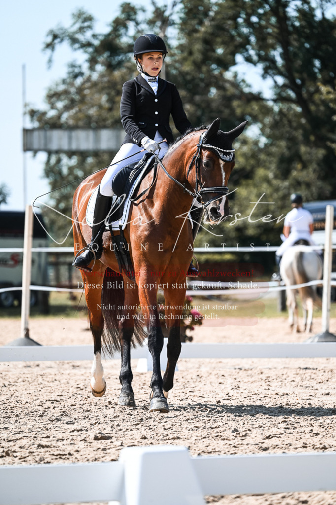 DSC_5041 | Pferde- und Turnierfotografie in Westsachsen. Pferdeportraits, Auftragszeichnungen und intuitive Kunst.