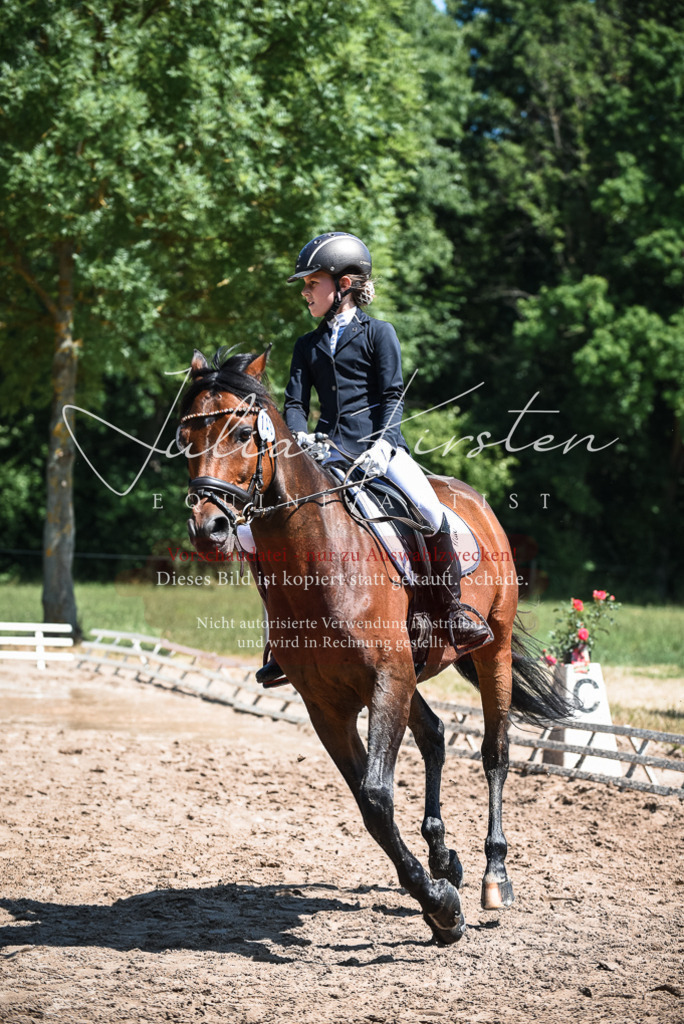 DSC_2879 | Pferde- und Turnierfotografie in Westsachsen. Pferdeportraits, Auftragszeichnungen und intuitive Kunst.