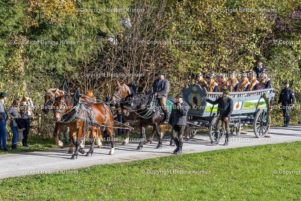 LBT24-962 | foto-bettina-krinner - Realisiert mit Pictrs.com