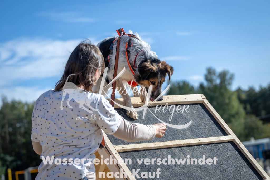 1504_ZZ92078 | kk-dogfotos