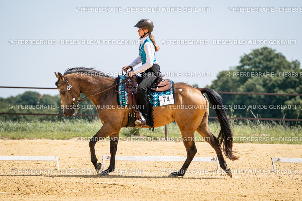 DSC00965 | Pferdegrafie