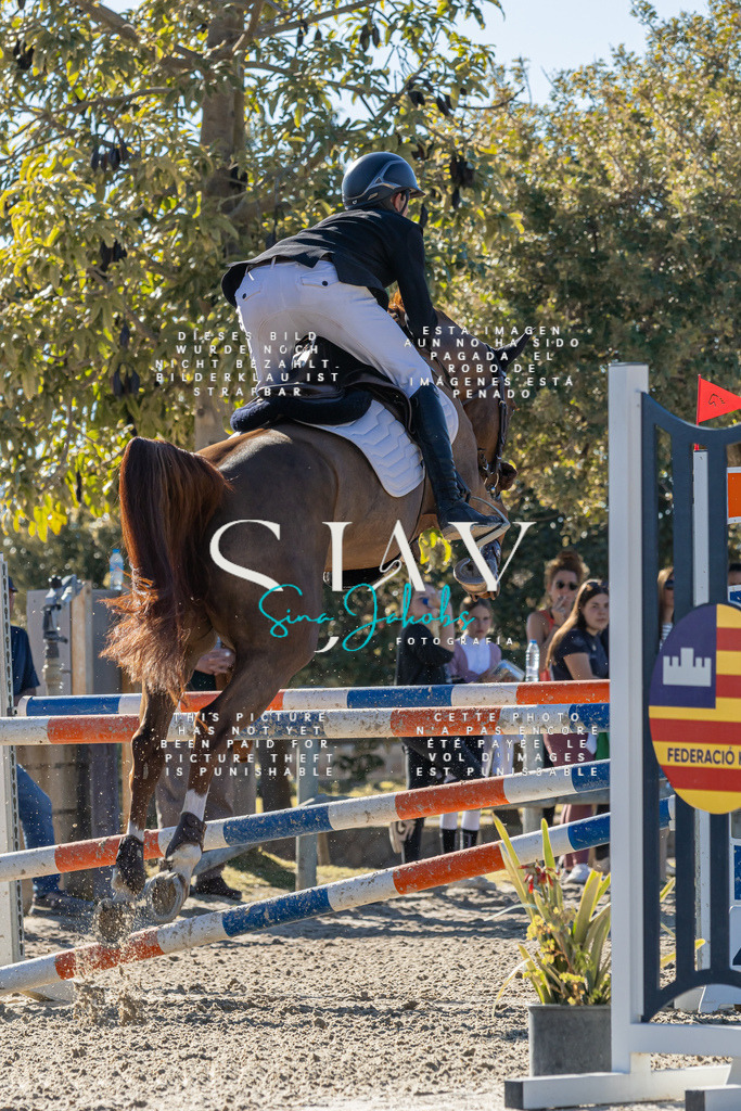 IMG_1618 | s-jay-photography - Realisiert mit Pictrs.com